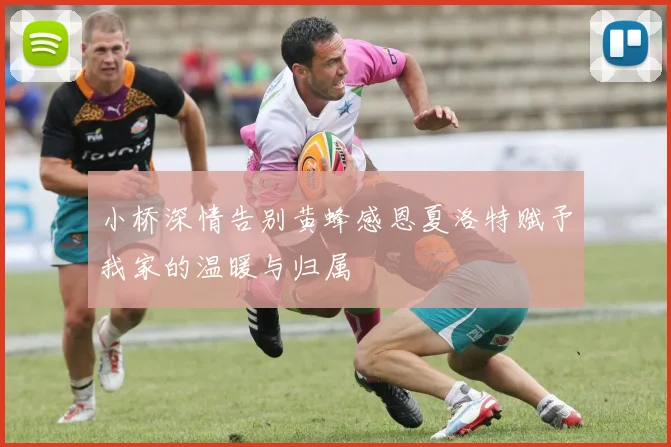 小桥深情告别黄蜂感恩夏洛特赋予我家的温暖与归属
