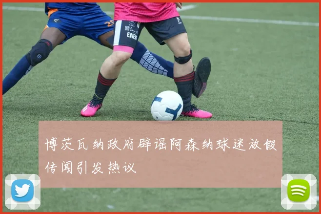 博茨瓦纳政府辟谣阿森纳球迷放假传闻引发热议